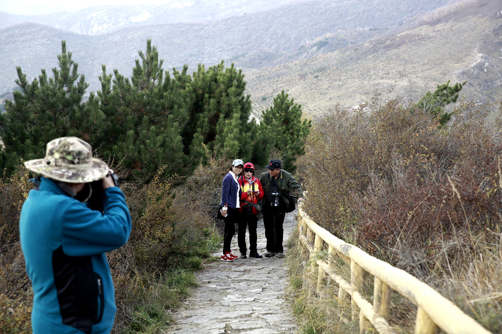 _MG_0296_.jpg