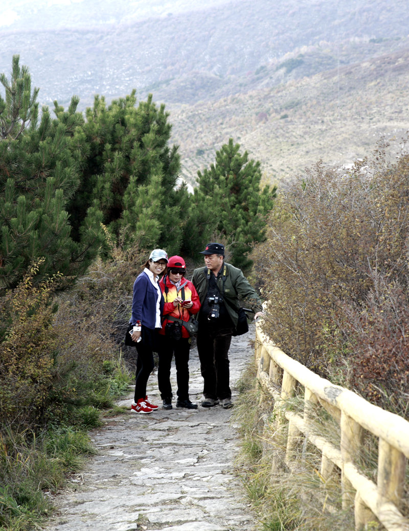 _MG_0297_.jpg
