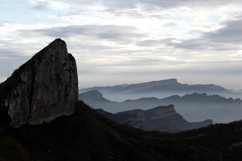 _MG_0380_.jpg