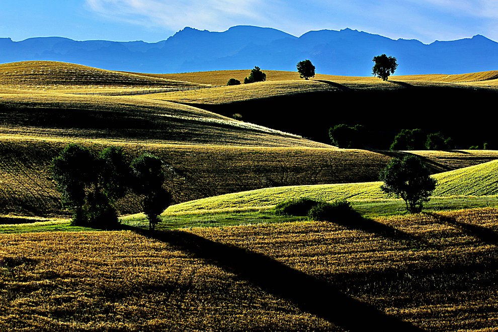 122558uruukjhumjooca08.jpg