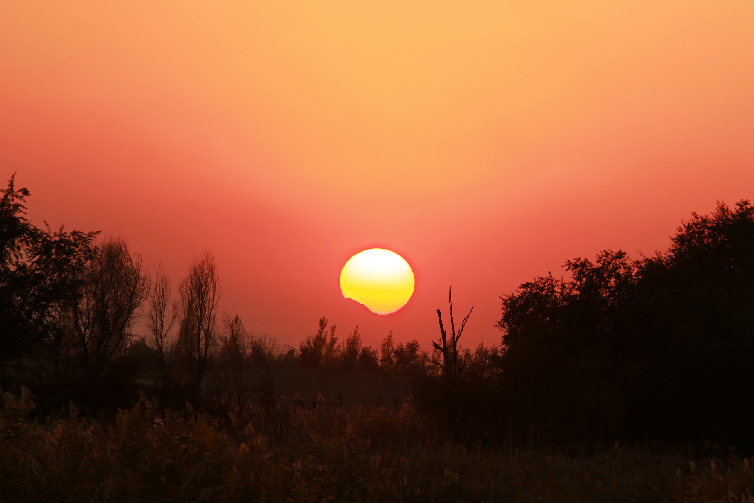 479A7796QW.jpg