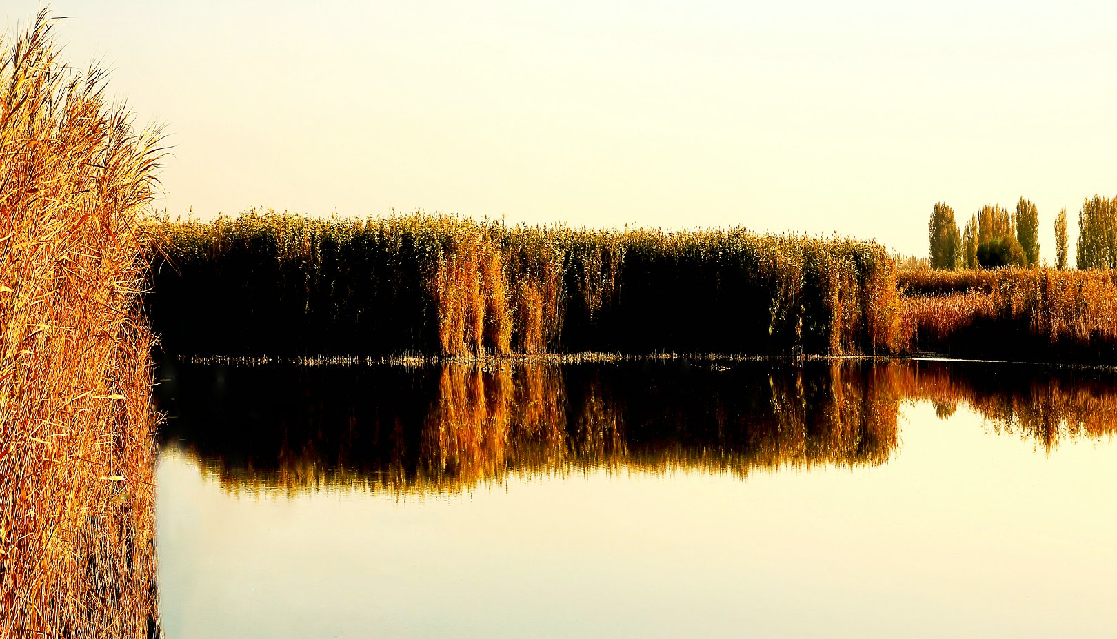 479A7602QW.jpg