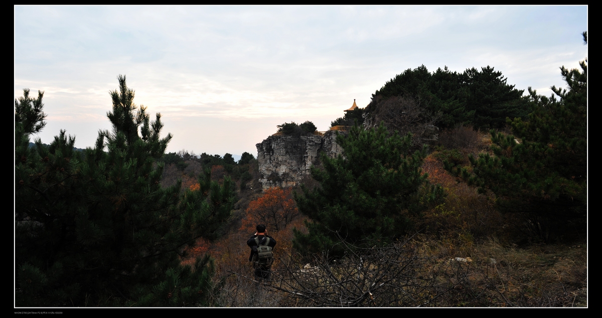 DSC_1517.JPG