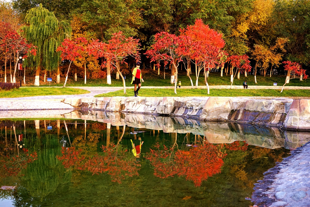DSC08134_.jpg