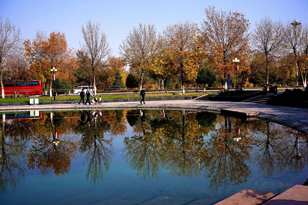 DSC07950_.jpg