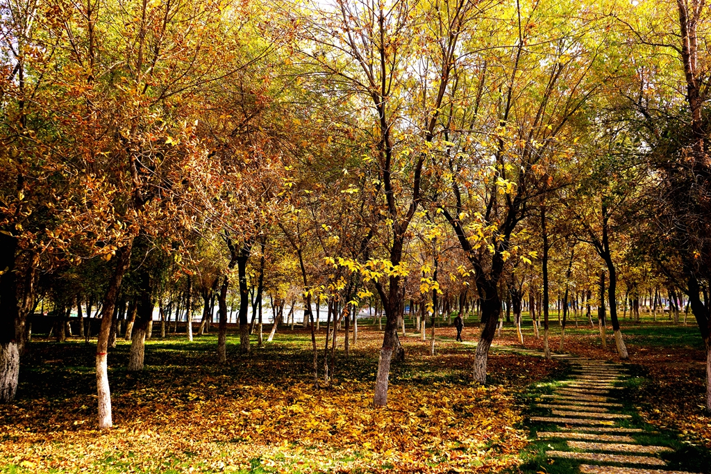DSC08002_.jpg