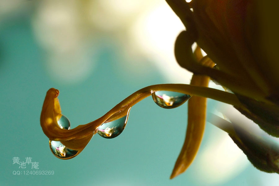DSC04135.jpg