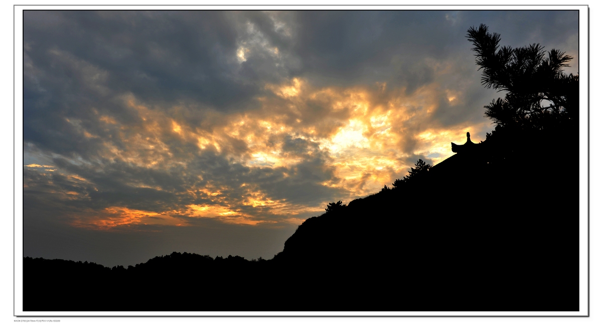 DSC_1583.jpg