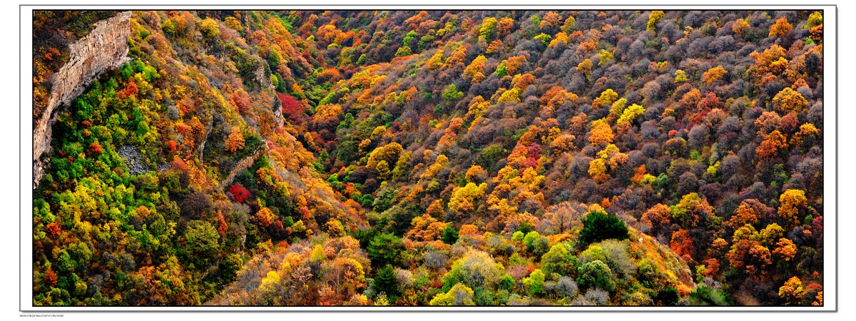 DSC_1697.jpg