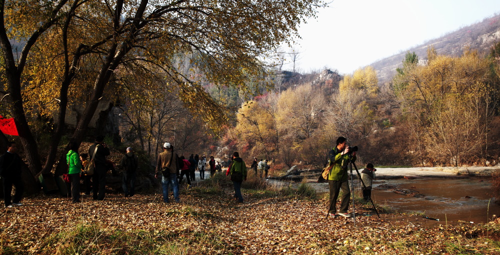 _MG_0750.JPG