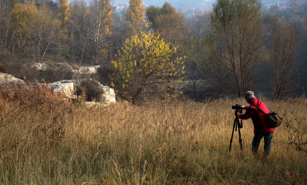 _MG_0753.JPG