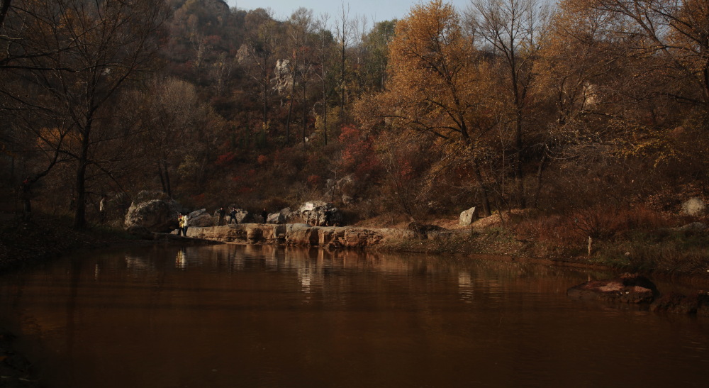 _MG_0766.JPG