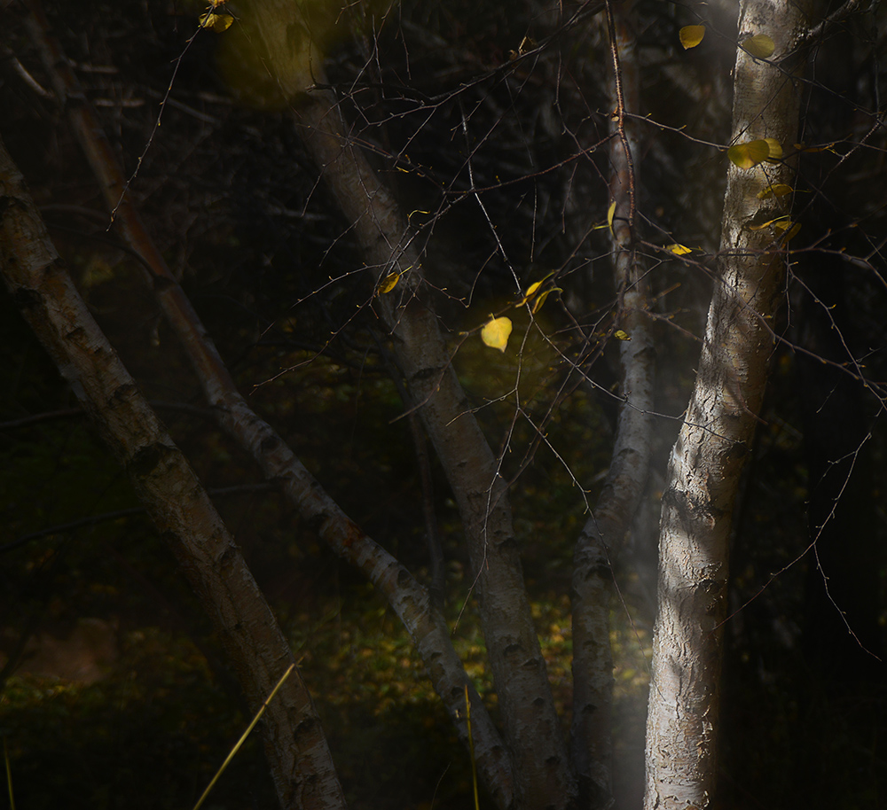 DSC_4688 .jpg