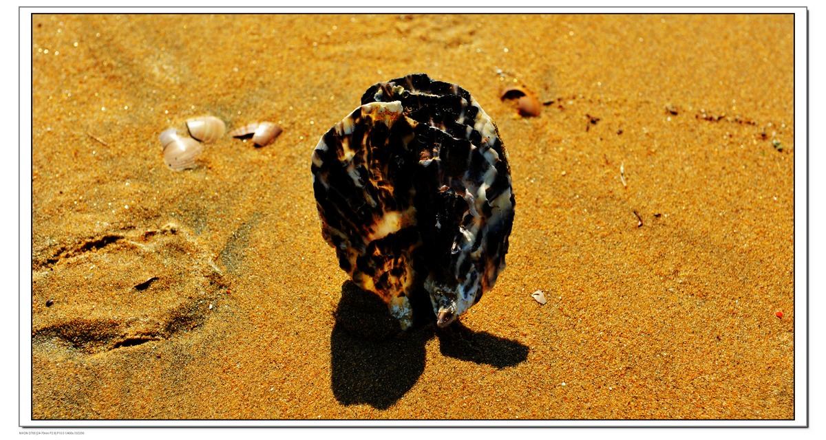 DSC_1093.JPG