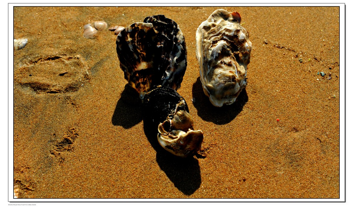 DSC_1094.JPG