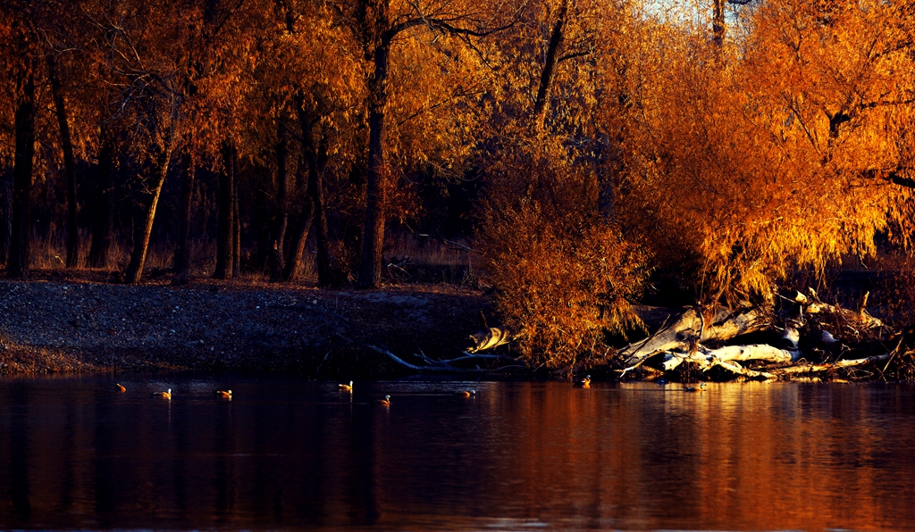 _MG_5096.jpg