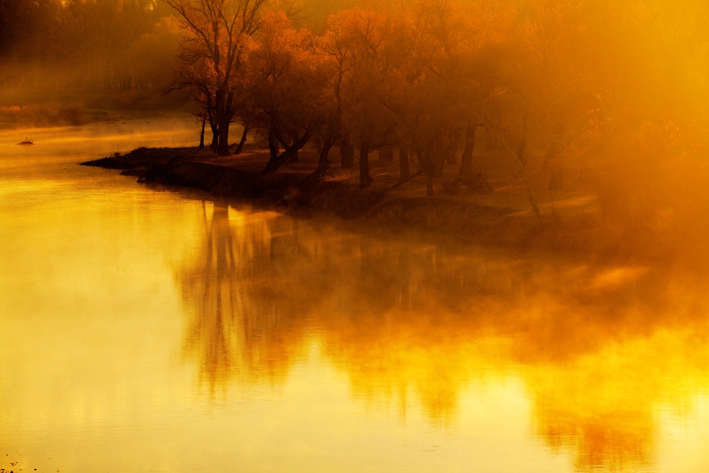 _MG_4696.jpg