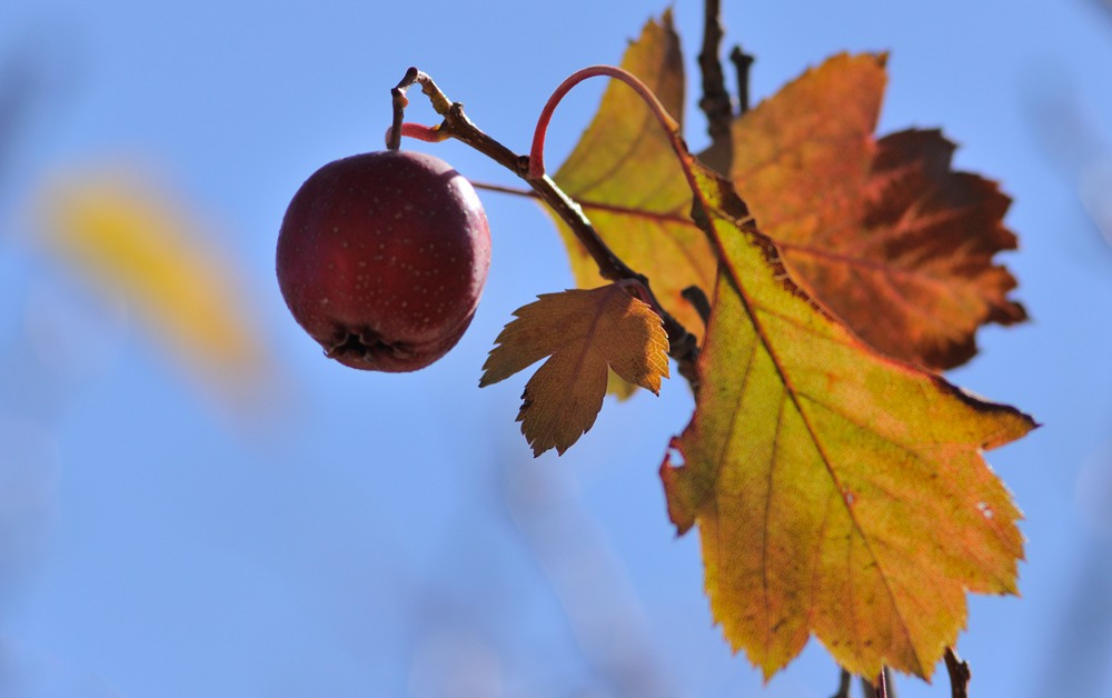 DSC_0214_.jpg