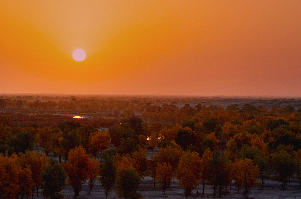DSC_9755-1.jpg
