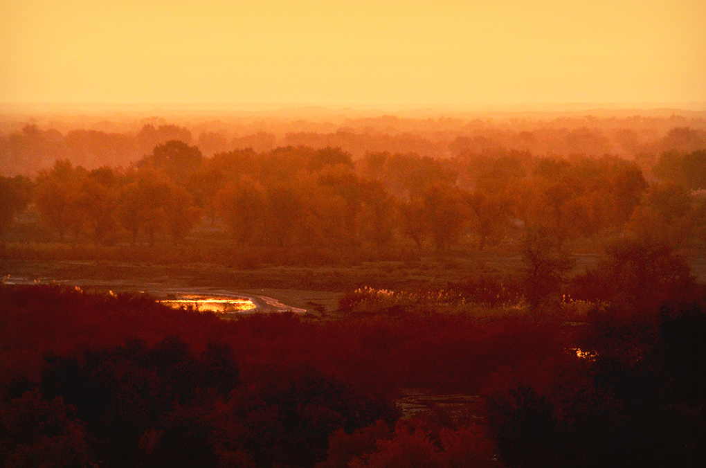 DSC_9758-1.jpg