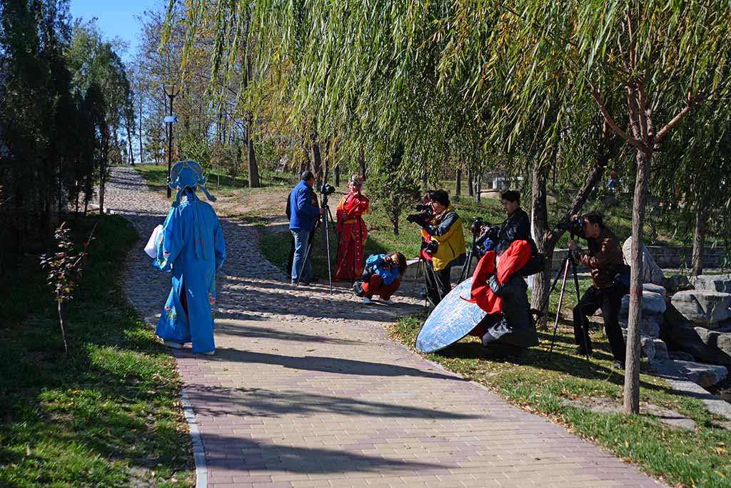 DSC_3010.jpg