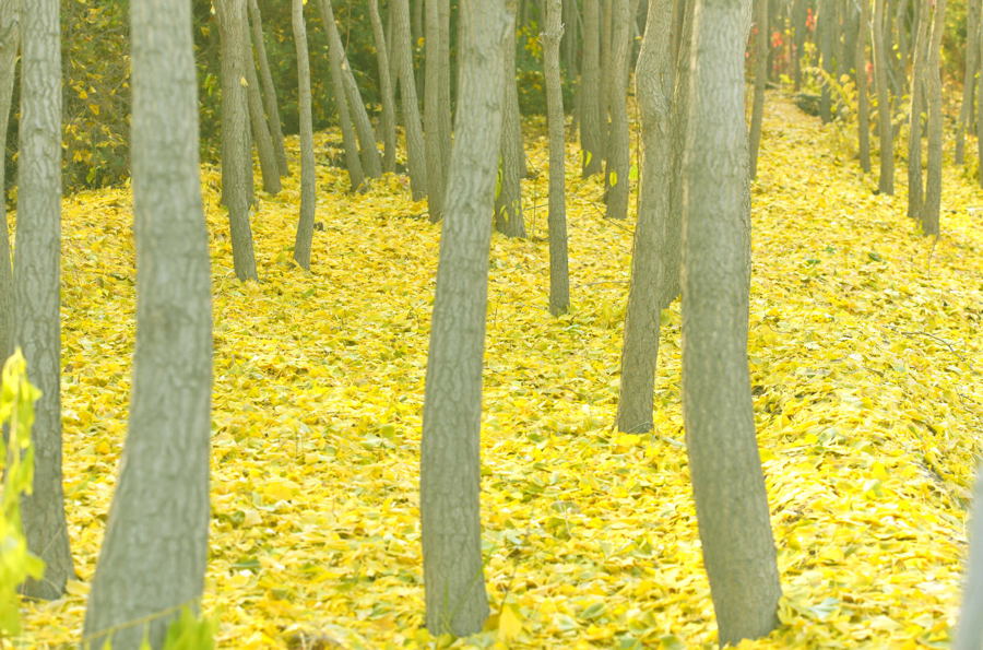 _DSC0048.jpg