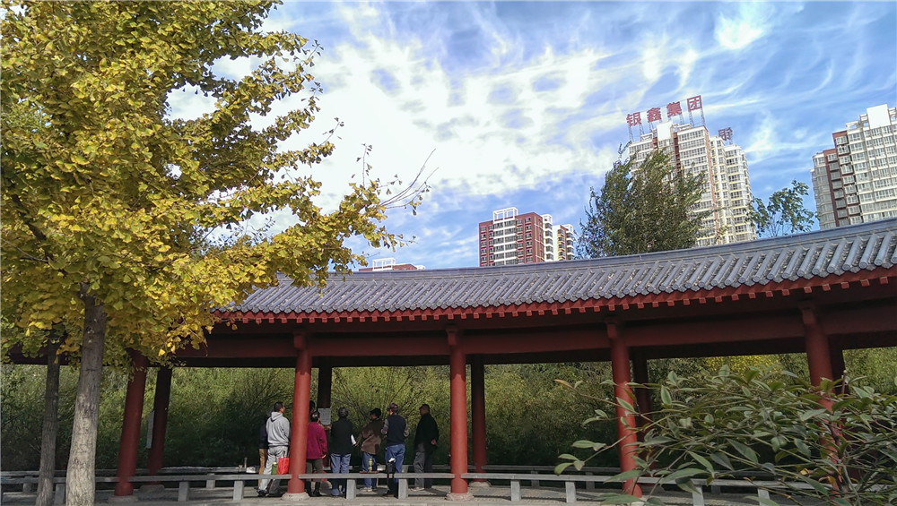 IMAG1654.jpg