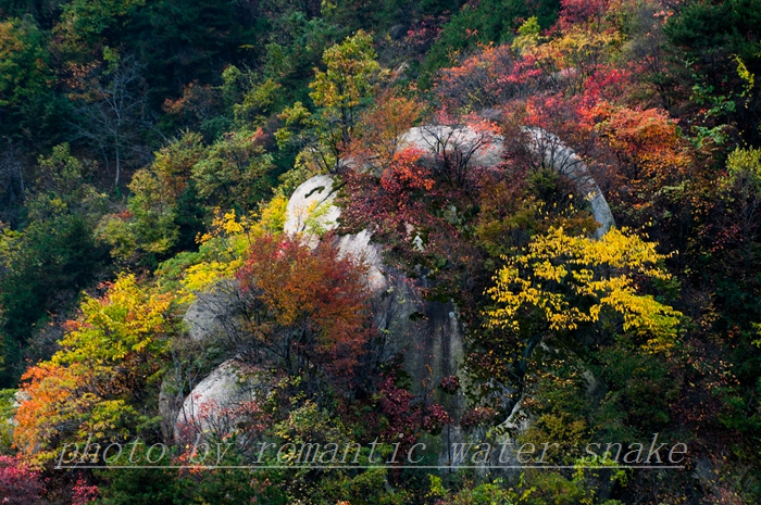 DSC_6752.jpg