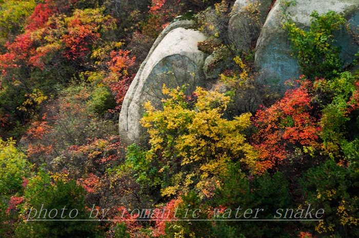 DSC_6757.jpg