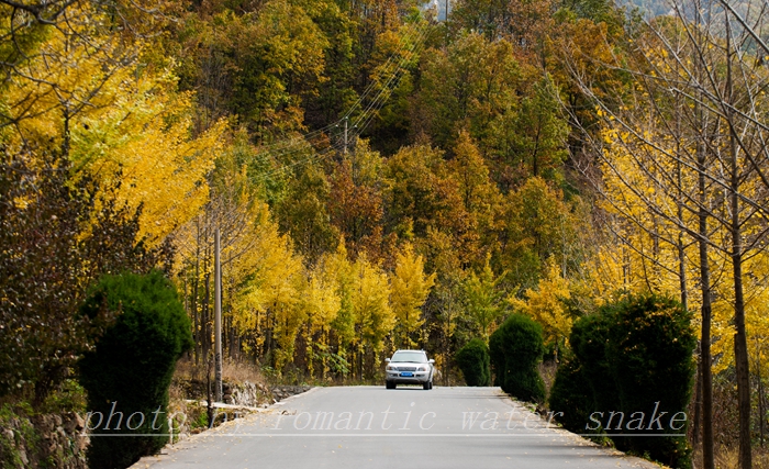 DSC_6770.jpg