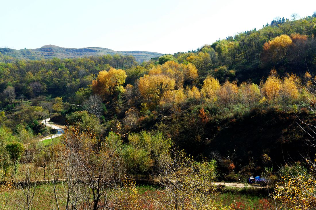 DSC09485_.jpg