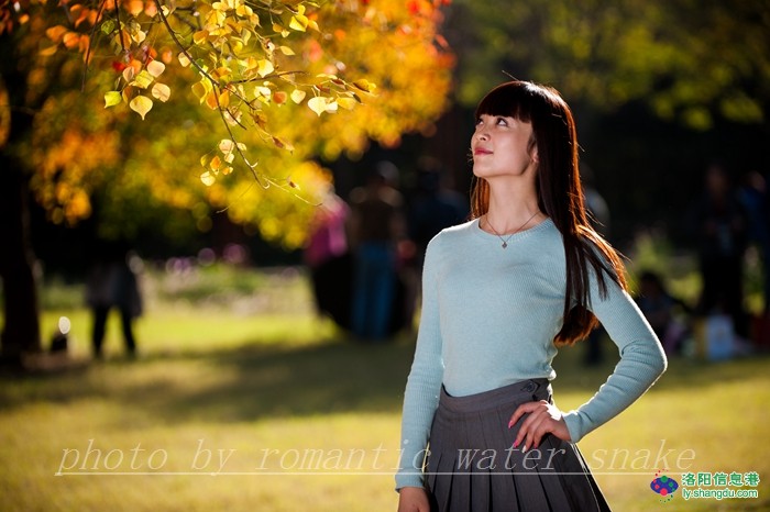 6_71842_66d1ba0d58421d3.jpg