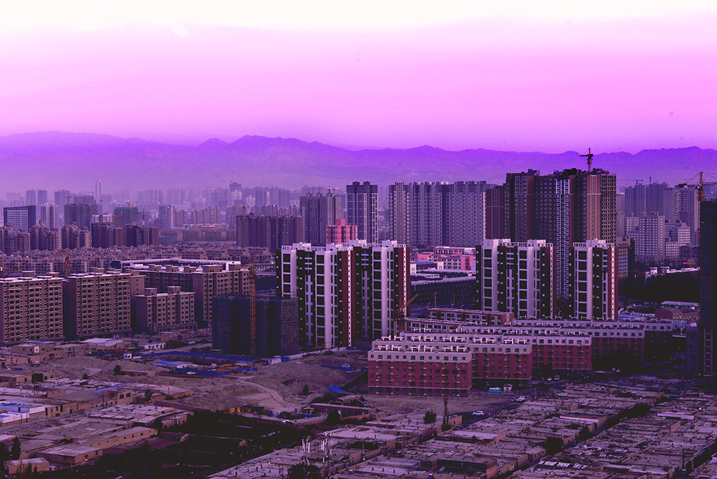 DSC_1393-1.jpg