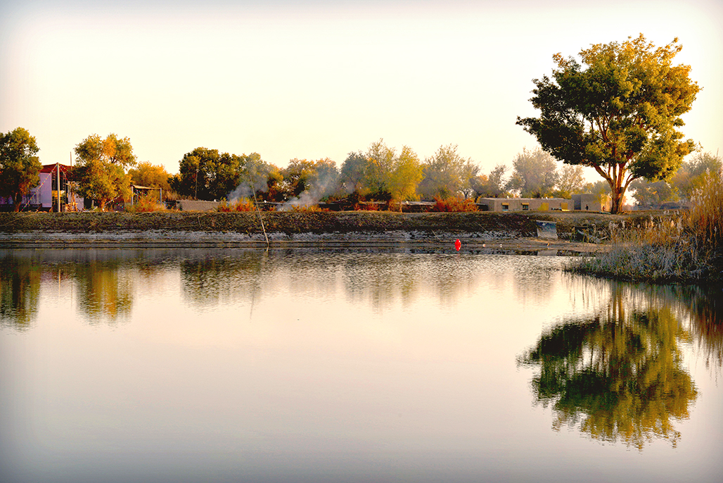 DSC_1428-1.jpg