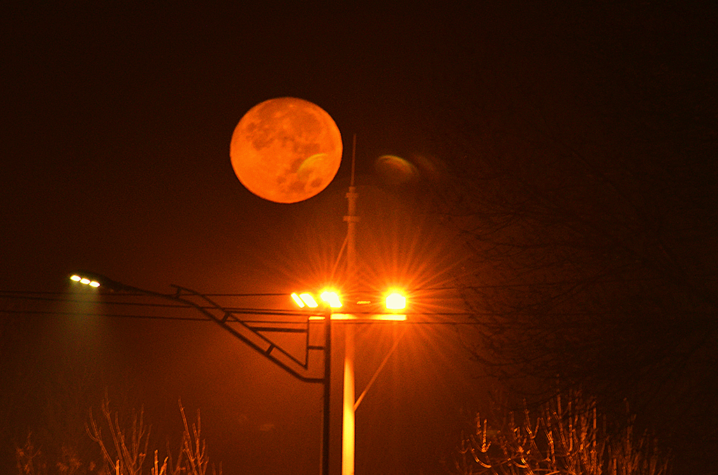 DSC_9852.JPG