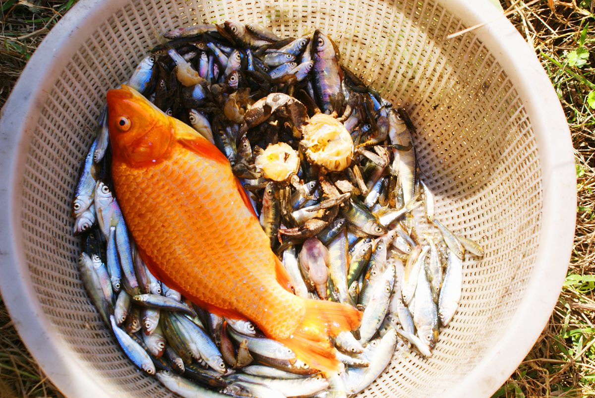 DSC067970_.jpg