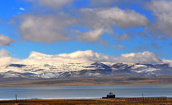 DSC_0129.JPG