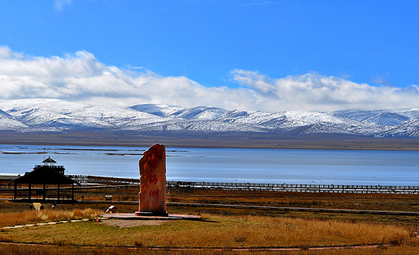DSC_0131.JPG