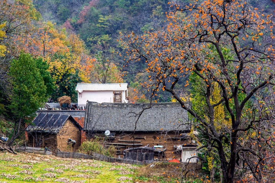 DSC_0280.jpg