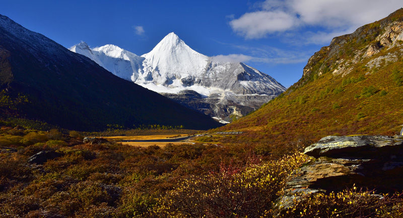 _DSC1517.jpg