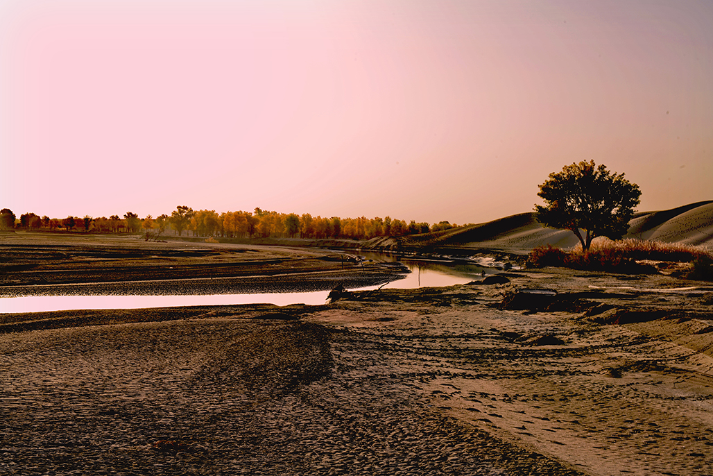 DSC_1450-1.jpg