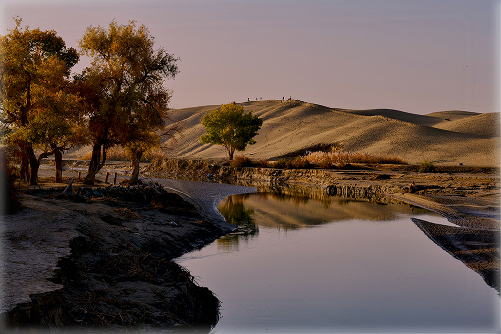 DSC_1451-1.jpg