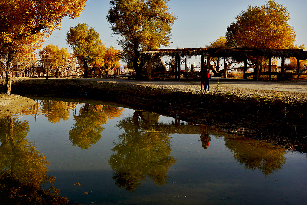 DSC_1492-1.jpg