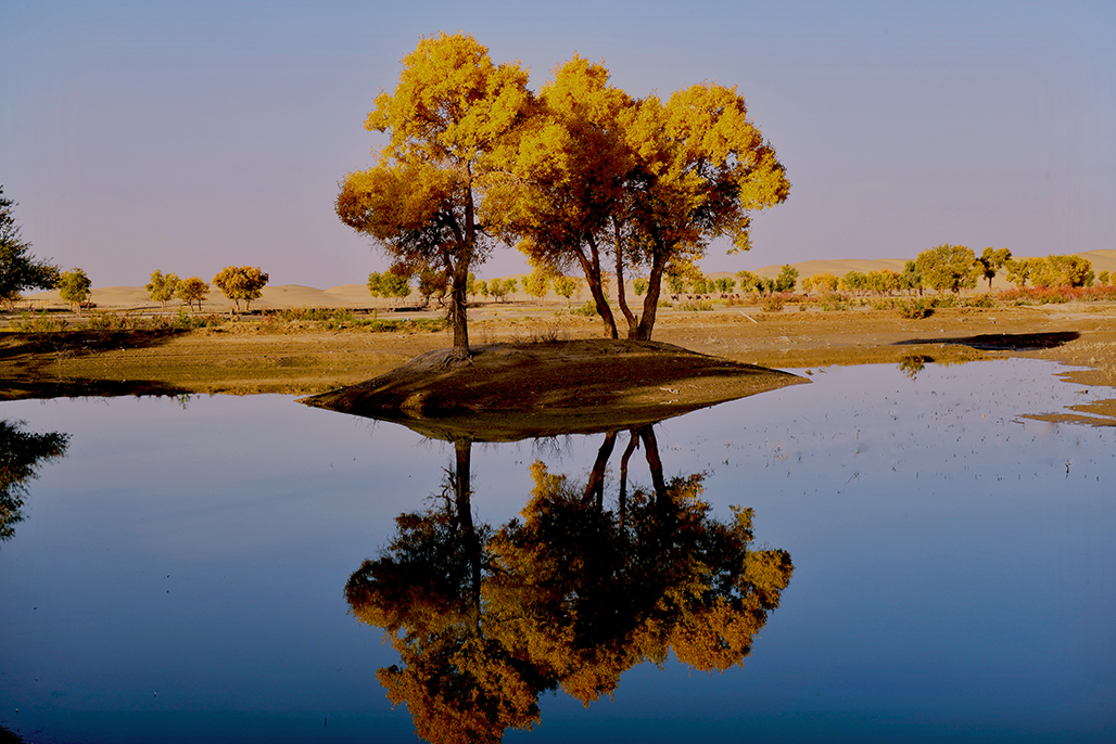 DSC_1468-1.jpg