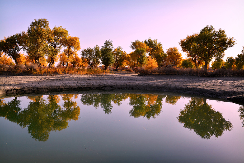 DSC_1483-1.jpg