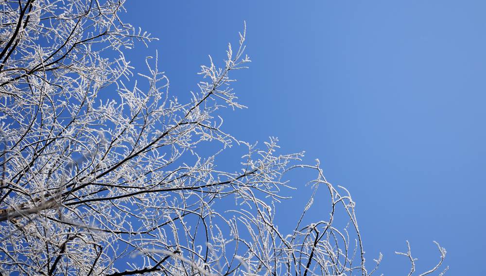 DSC_0216_.jpg