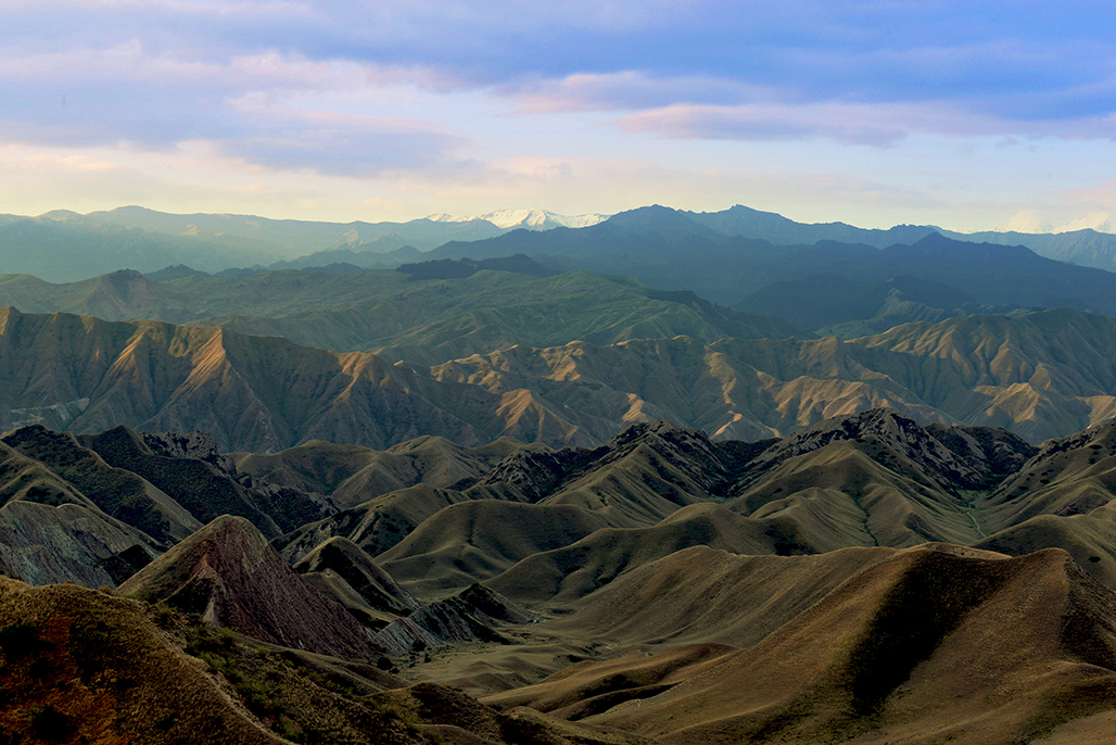 DSC_7886-1.jpg