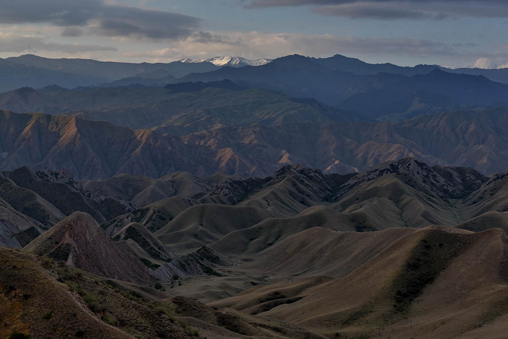 DSC_7882-1.jpg