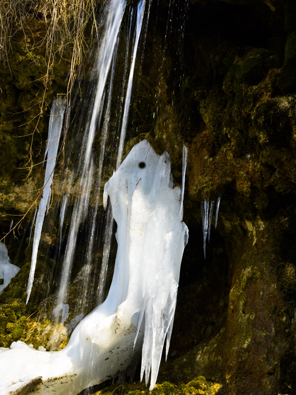 _LMZ6235.jpg