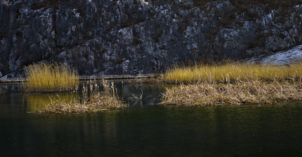 _LMZ6267.jpg